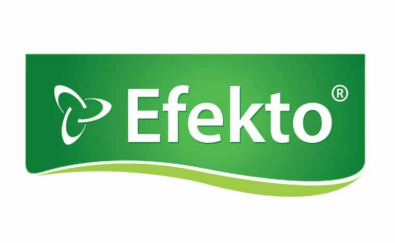Efekto